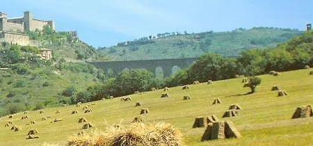 Alojamento de Acomodação e Pequeno-almoço Le Rondinelle *