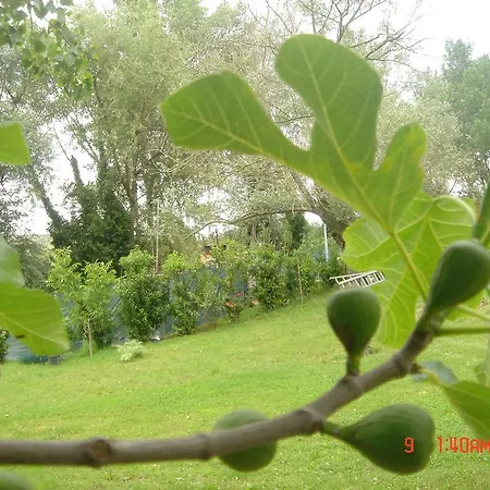 Bed & Breakfast Le Rondinelle Spoleto