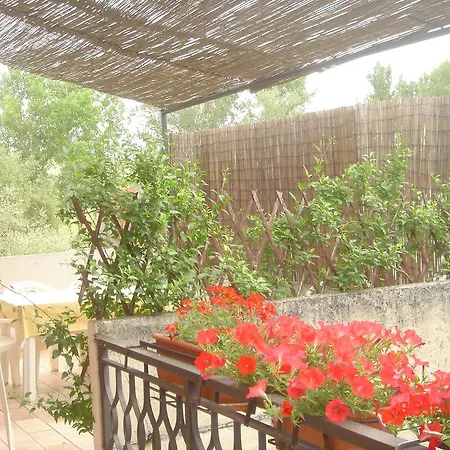 Bed & Breakfast Le Rondinelle *