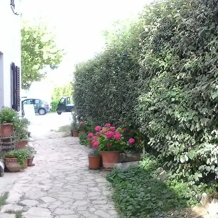 Bed and breakfast Le Rondinelle